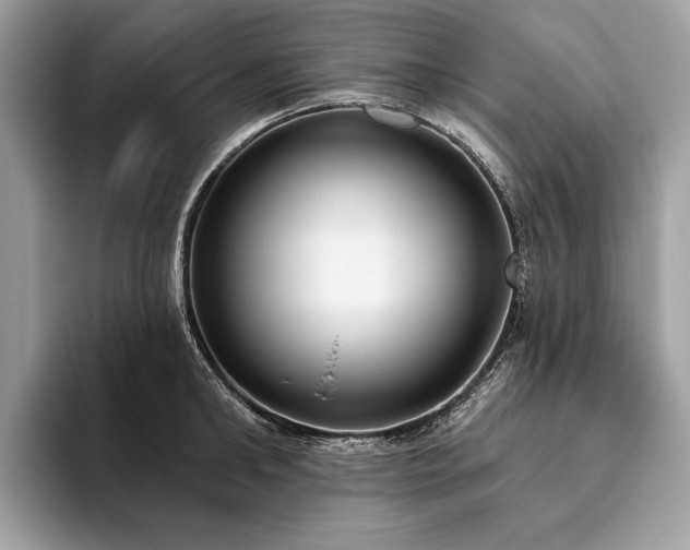 X0000093620902200710221544