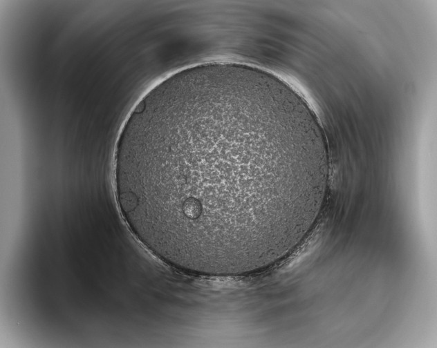 X0000093620903200710221544