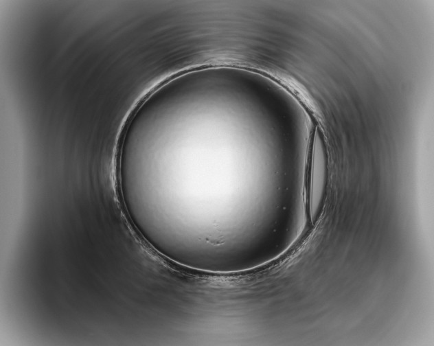 X0000093620904200710221544