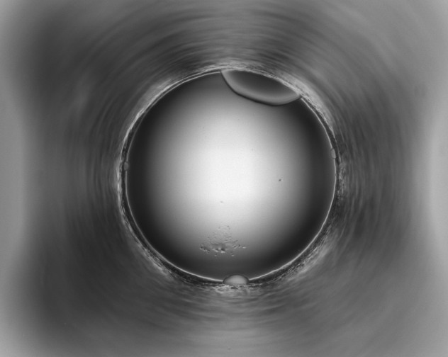 X0000093620906200710221544