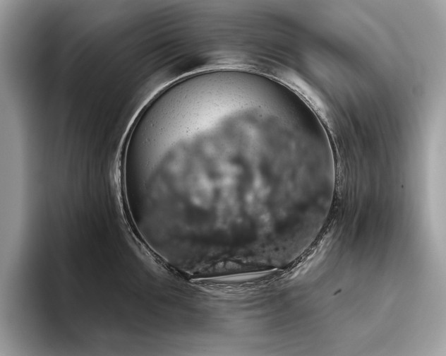 X0000093620907200710221544
