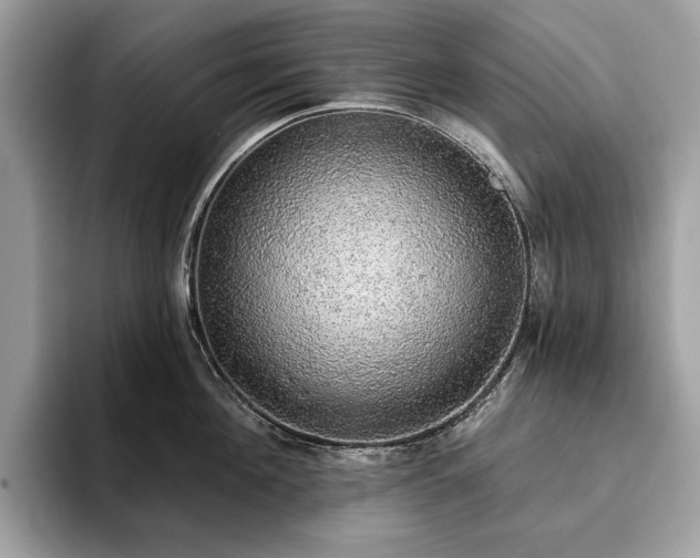 X0000093620908200710221544