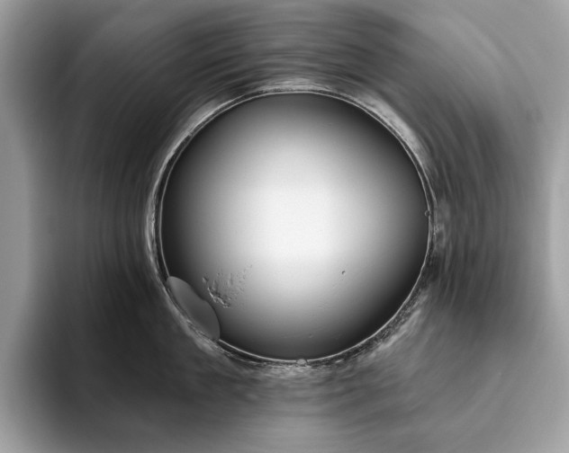 X0000093620909200710221544