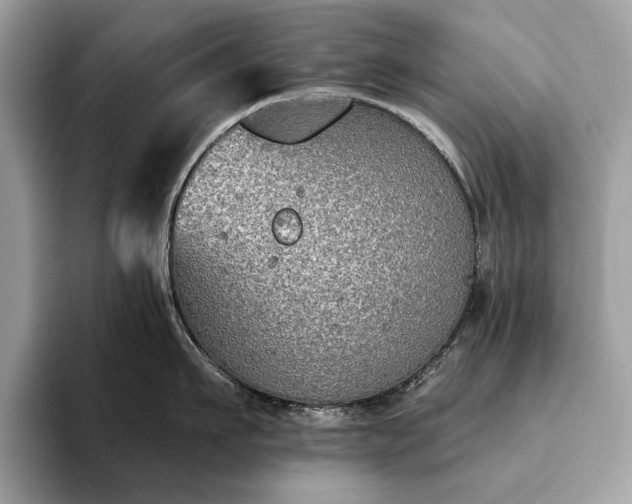 X0000093620911200710221544