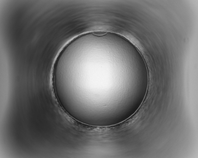 X0000093620912200710221544