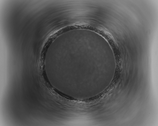 X0000093620920200710221543