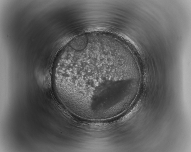X0000093620921200710221543