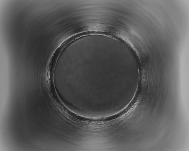 X0000093620923200710221543