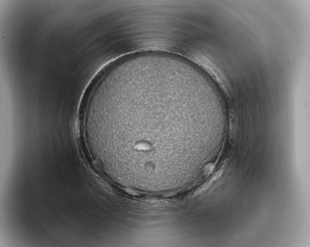 X0000093620924200710221543