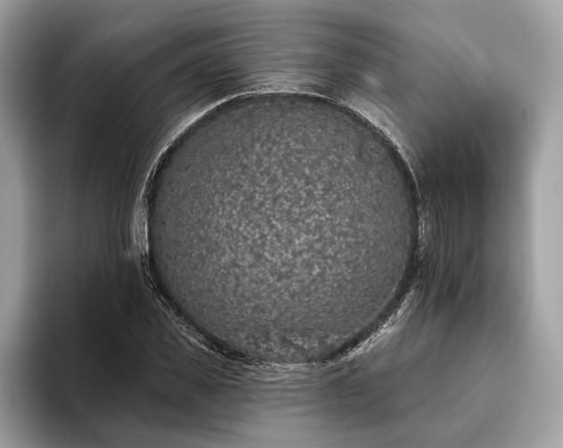 X0000093620925200710221543