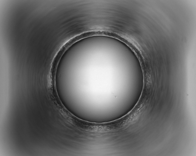 X0000093620927200710221543