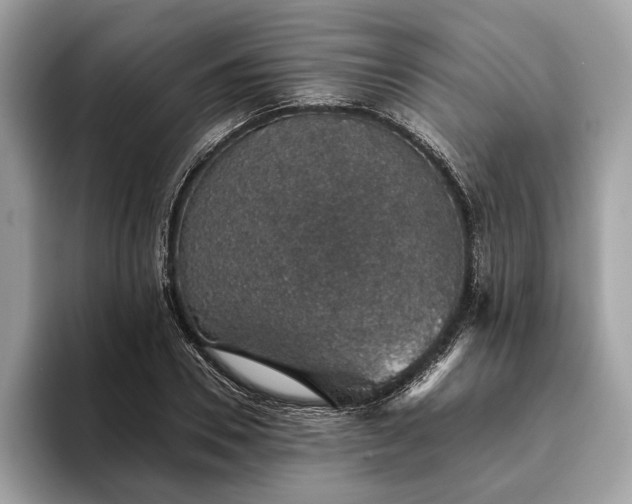 X0000093620930200710221543