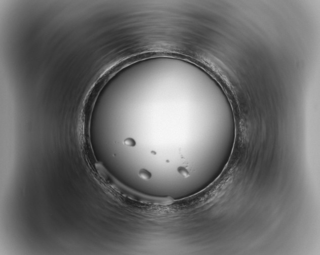 X0000093620931200710221543
