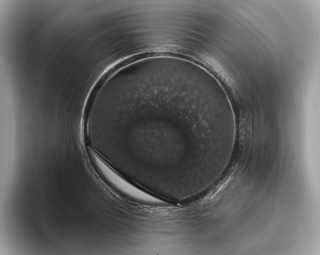 X0000093620932200710221543