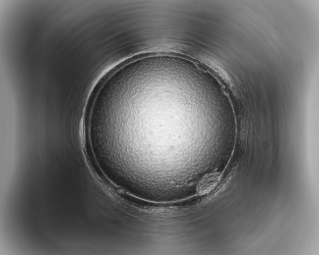 X0000093620936200710221543