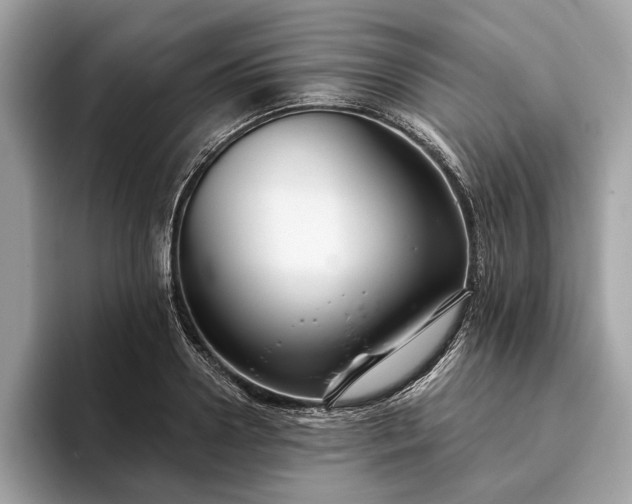 X0000093620938200710221543