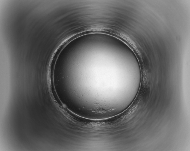X0000093620939200710221543