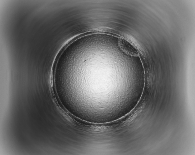 X0000093620940200710221543