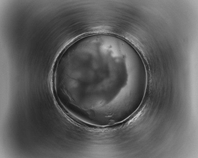 X0000093620941200710221543