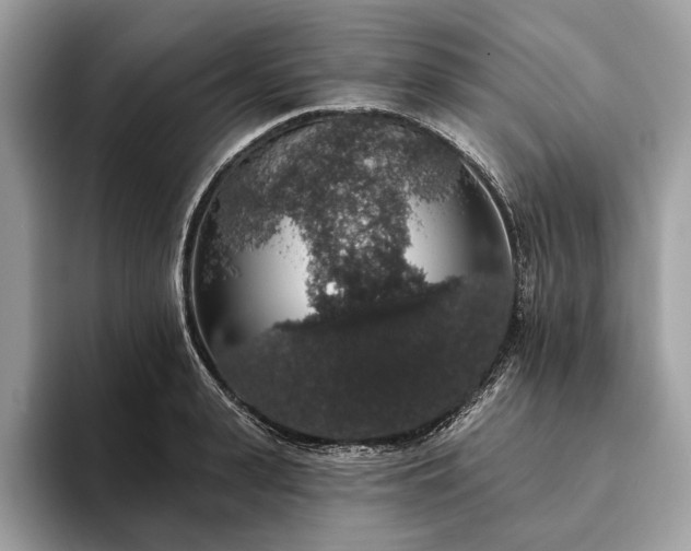 X0000093620943200710221543