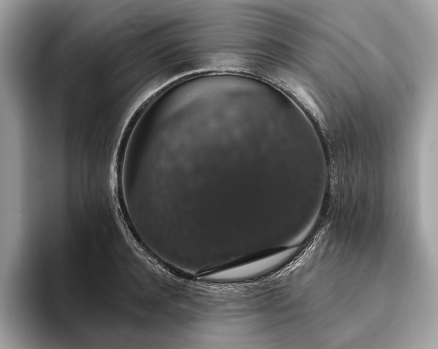 X0000093620944200710221543