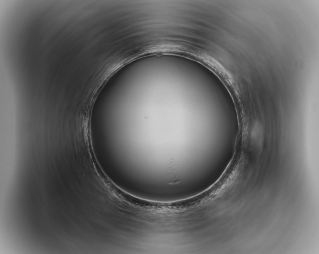 X0000093620945200710221543