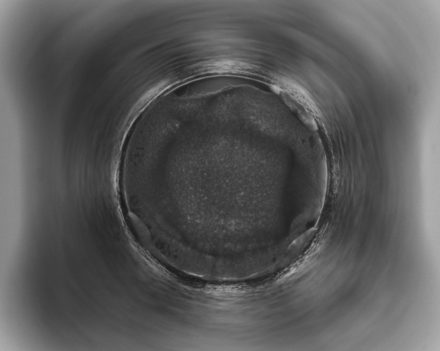 X0000093620946200710221543