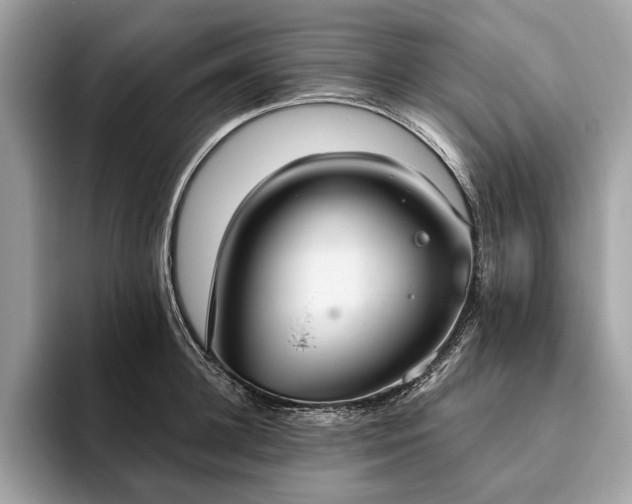 X0000093620948200710221543