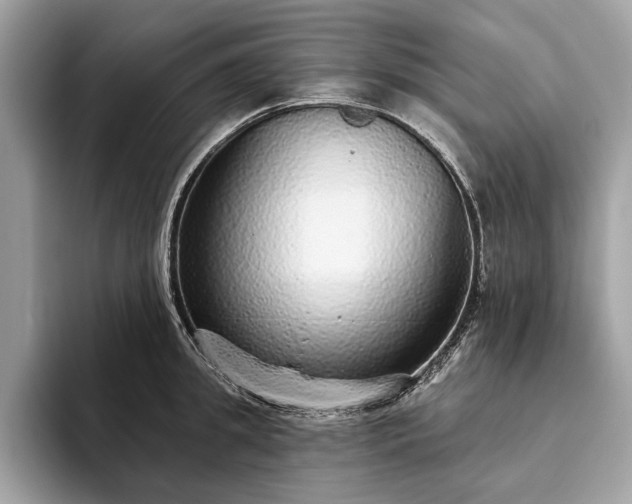 X0000093620949200710221543