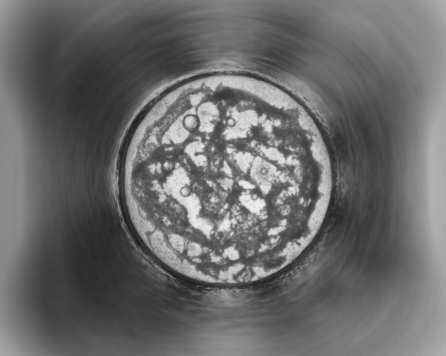 X0000093620950200710221543