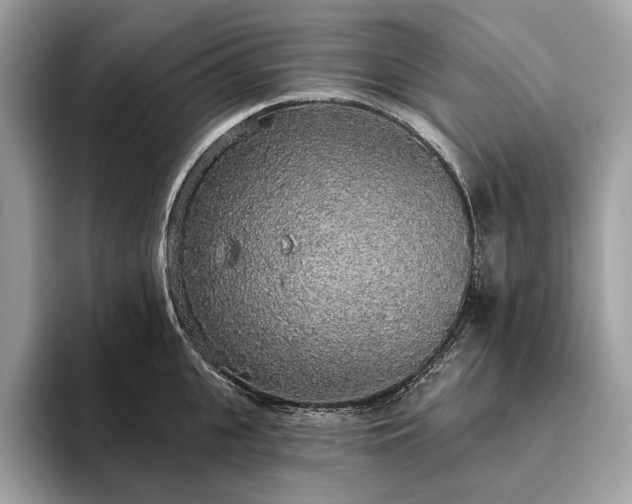 X0000093620951200710221543