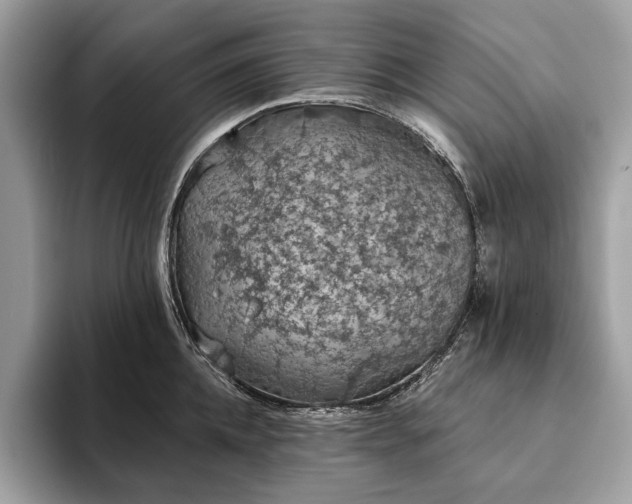 X0000093620952200710221543