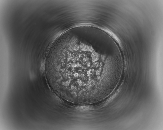 X0000093620953200710221543