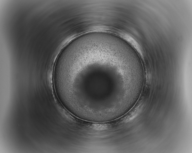 X0000093620954200710221544