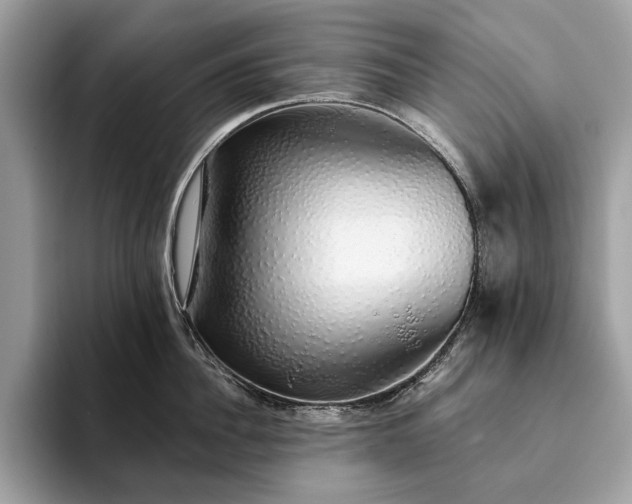 X0000093620956200710221544