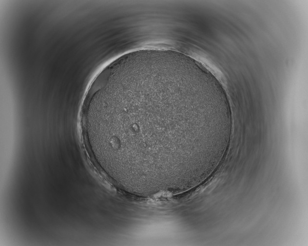 X0000093620960200710221544