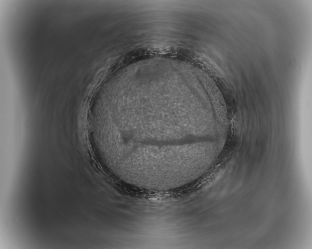 X0000093620961200710221543