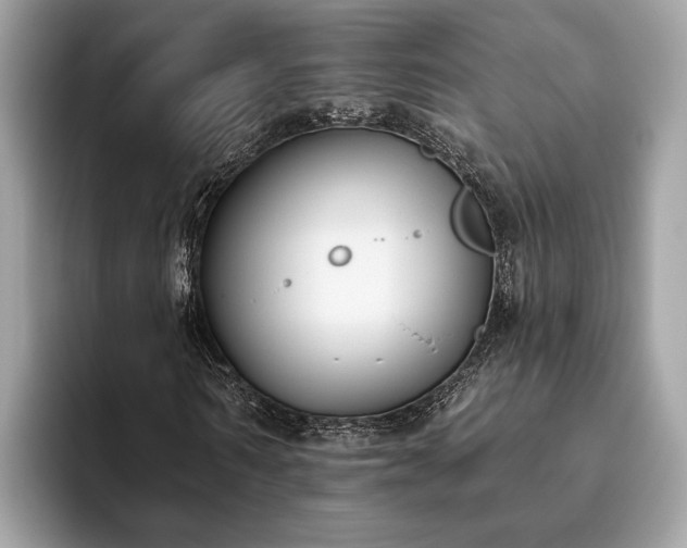 X0000093620962200710221543