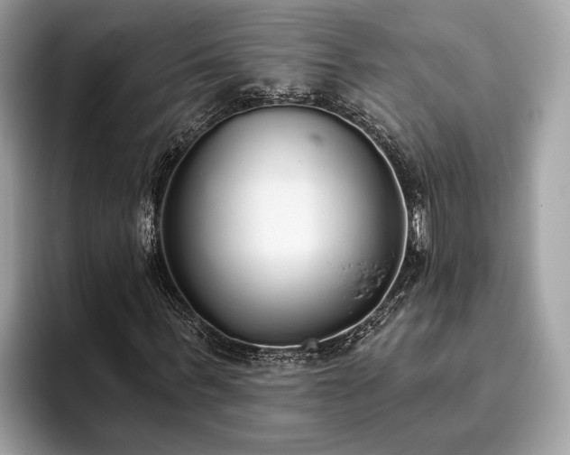 X0000093620963200710221543