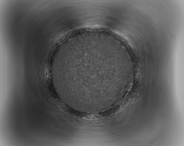 X0000093620966200710221543