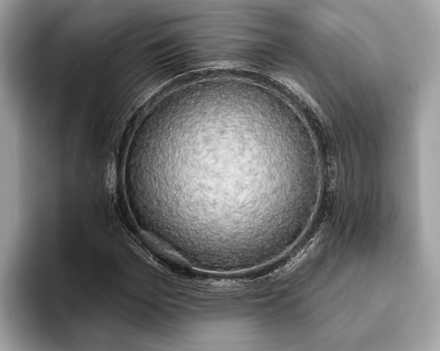 X0000093620969200710221543
