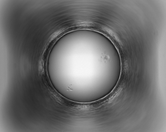 X0000093620970200710221543