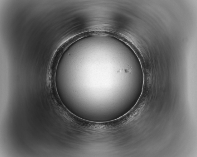 X0000093620971200710221543
