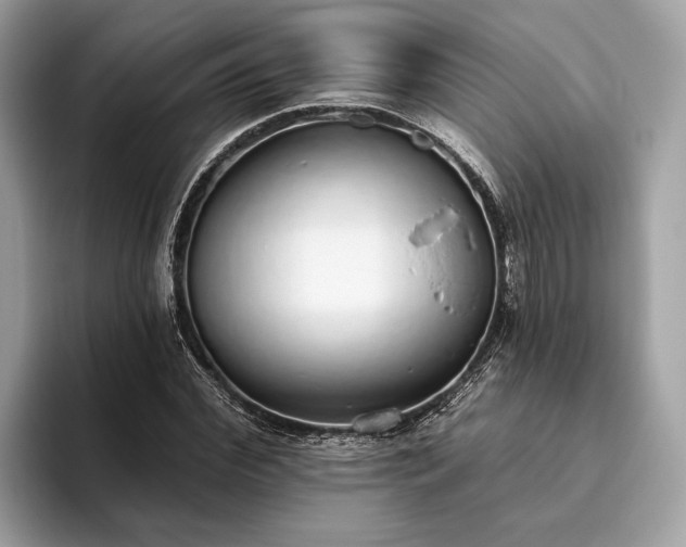 X0000093620972200710221543