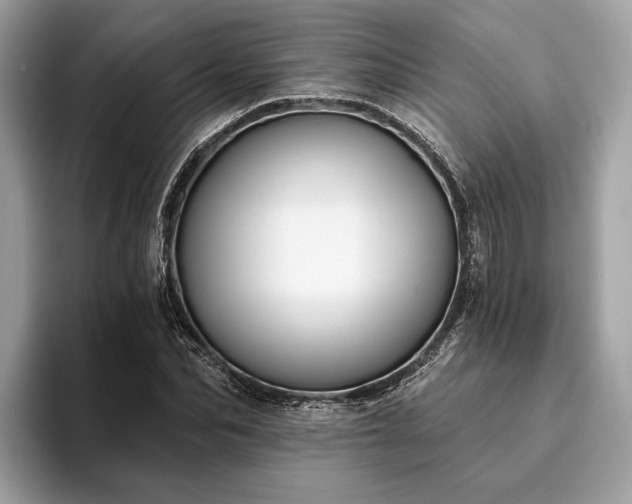 X0000093620974200710221543