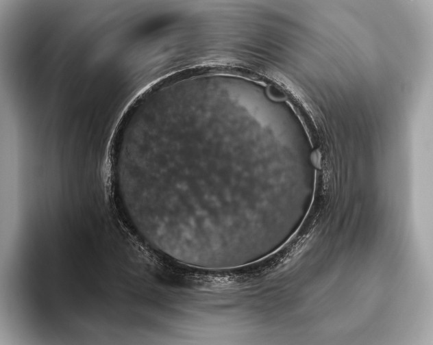 X0000093620975200710221543