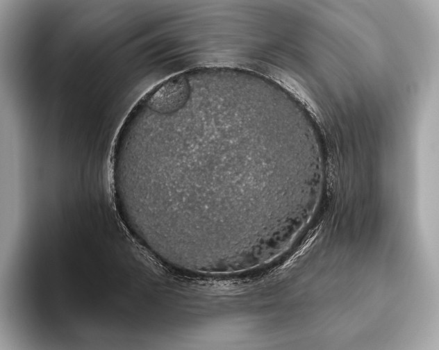 X0000093620976200710221543