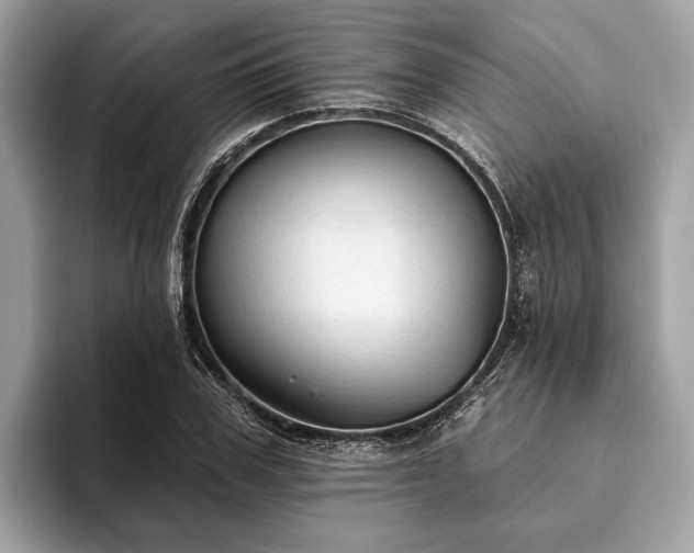 X0000093620979200710221543