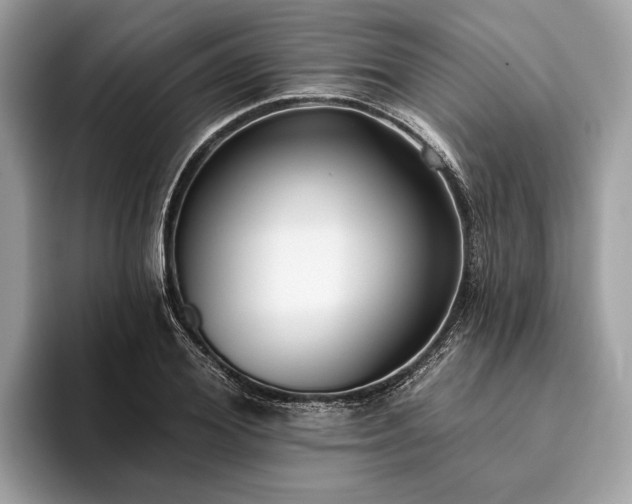 X0000093620980200710221543