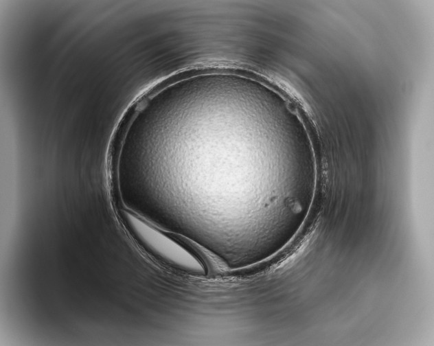 X0000093620981200710221543